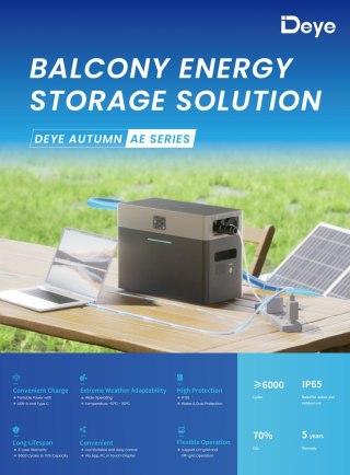 DEYE All In One AE-FS2.0-2H2 (Inwerter hybrydowy 1000W + bateria 2kWh) niskonapięciowy